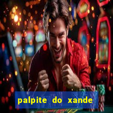 palpite do xande de hoje